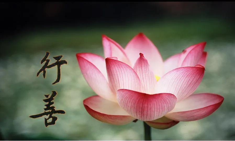 有目的的行善是善还是恶,行善需要智慧和力量