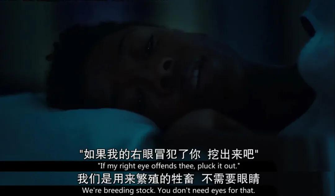 知名女网红因为被偷拍上热搜了,那些被爆视频的女网红