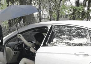 最强防风雨伞能抗住沙尘暴吗,7-8级大风威力