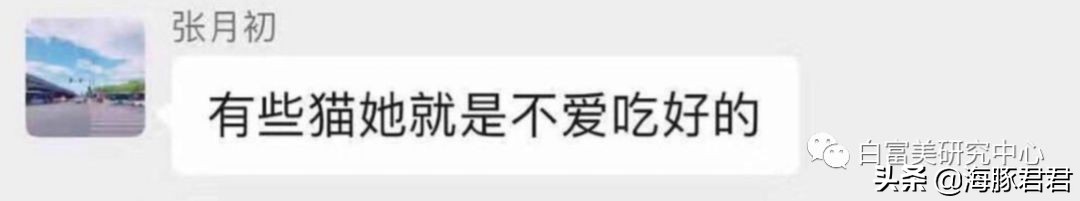 北京小公主靠吸猫血成百万大V，直播整容、大照骗、2年养死3只猫