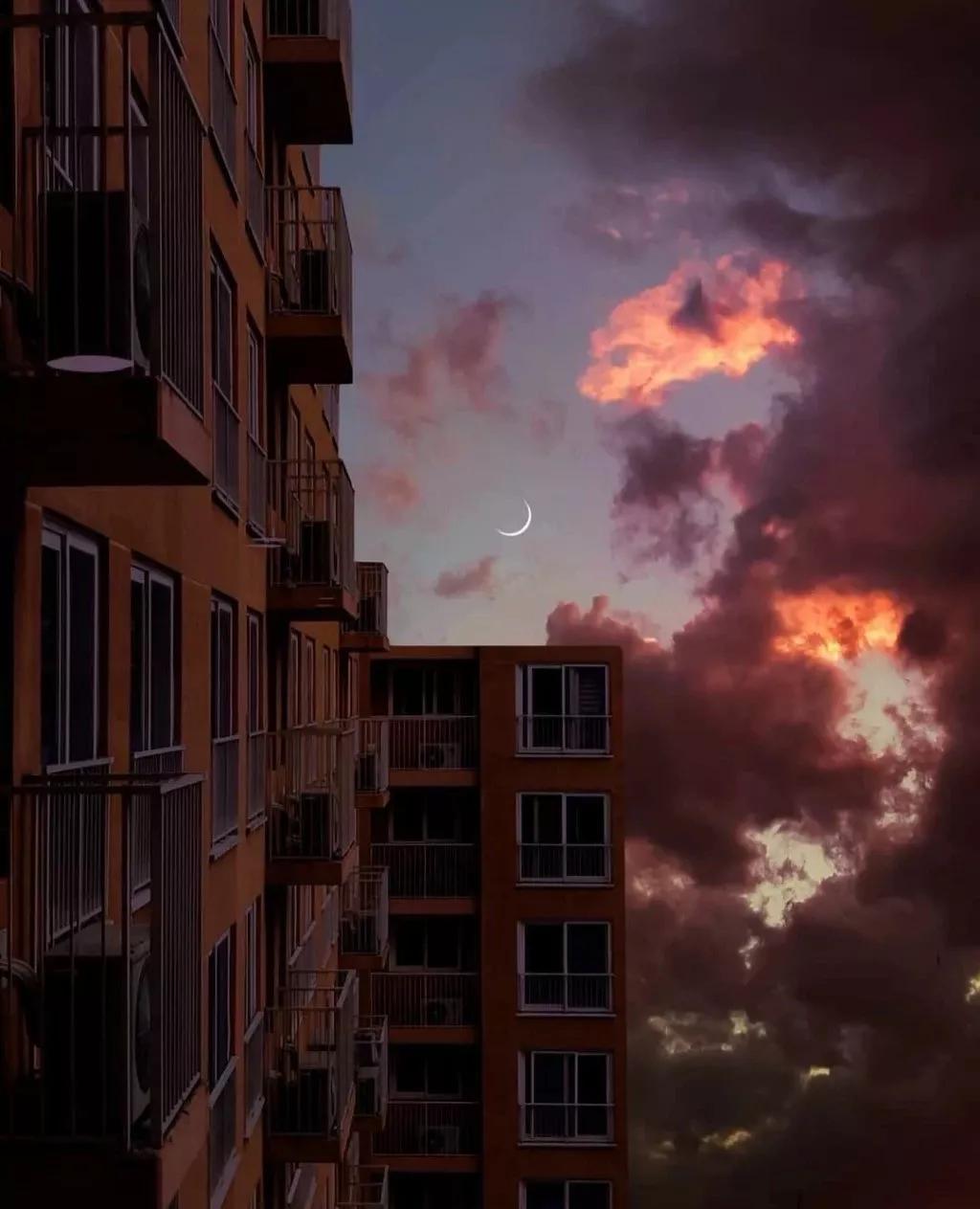 你是我一生中只会遇见一次的惊喜,一生中只会遇见一次的惊喜的电影