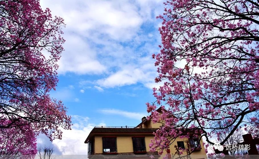 药王谷里觅旧迹（原图文）