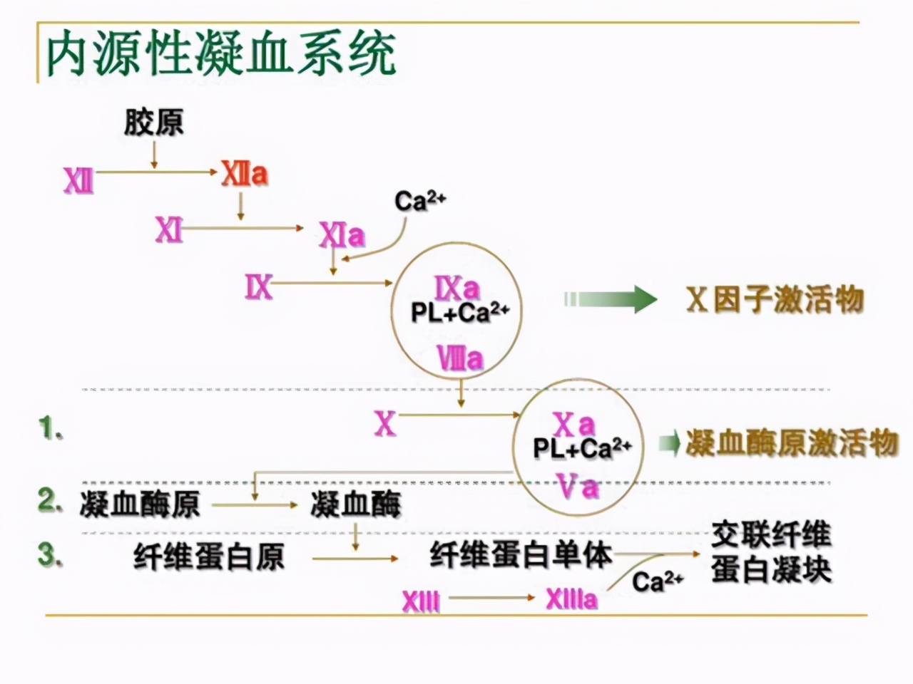 冠心病吃复方丹参片有效果吗,冠心病吃丹参滴丸有什么副作用