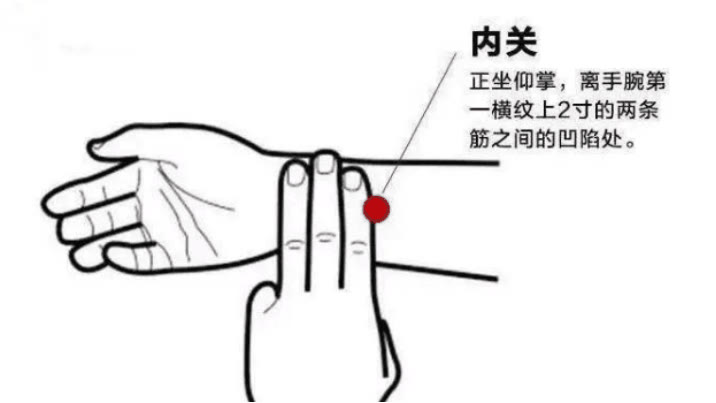 缓解孕吐的食谱,缓解孕吐烧心反酸小妙招