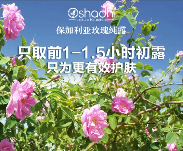 精油护肤什么牌子好,明星都在用的精油