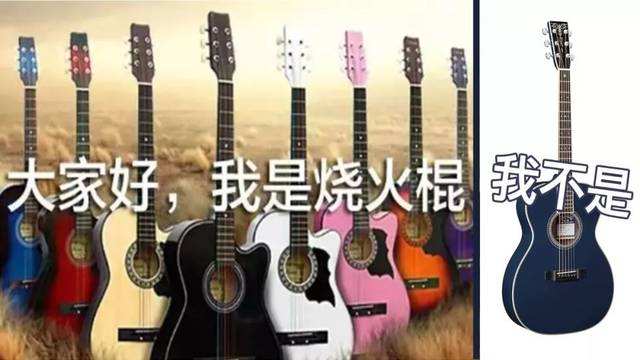 中国的吉他产业,吉他在国内外的发展趋势