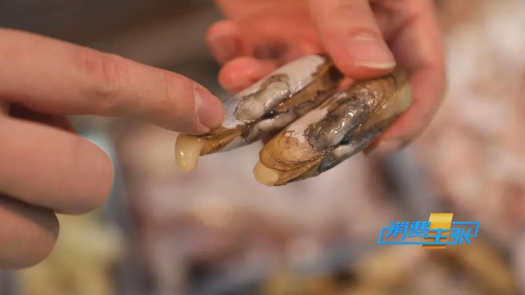 霞浦的海鲜真是便宜又好吃,霞浦真正便宜好吃的海鲜哪里吃