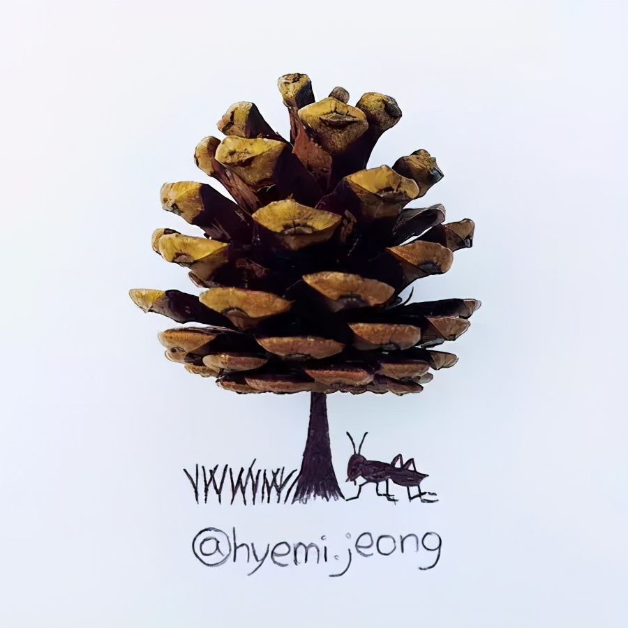 只需要一个瓶子的简单科技小作品,脑洞大开有趣的小物件