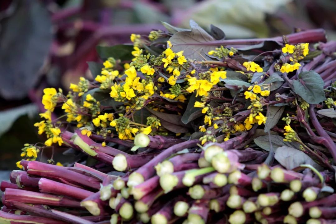 中国清真菜十大名菜,中国顶级美食招牌菜