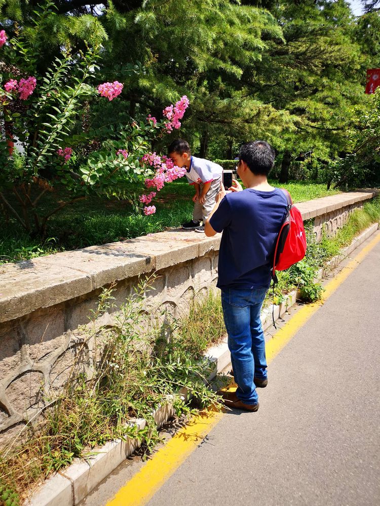 漫步北大校园,北大印象图片