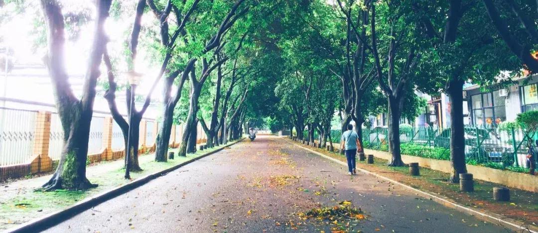 广西桂林藏在巷子里面的美食,桂林市藏在巷子里的美食
