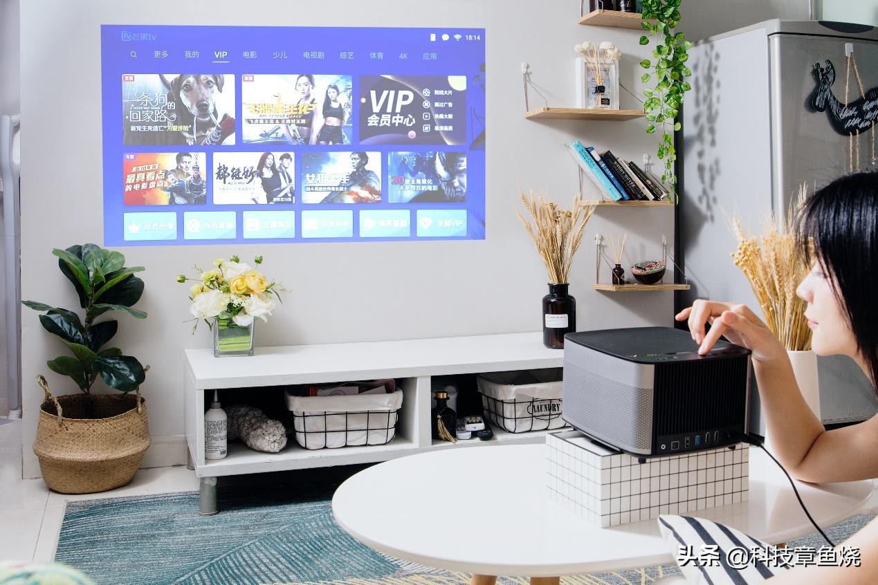 小仙女教你在家轻松搭建私人影院