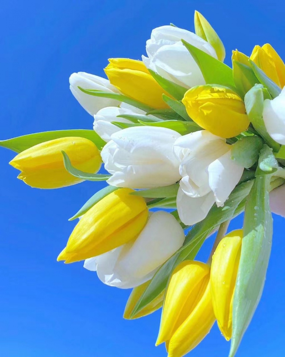 两个人不删微信也不联系,一个不删你微信也不联系的男人