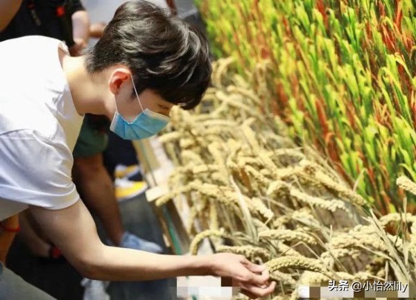 肖战低谷期对肖战说的话,肖战低谷期过后说的话