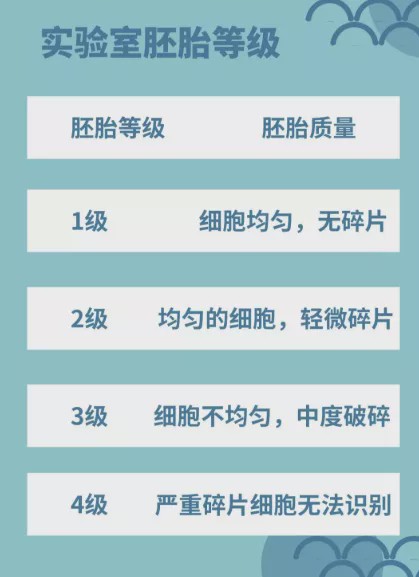 三级胚胎养囊好还是移植好,移植两个三级胚胎的成功率