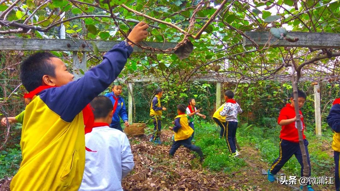 蒲江县复兴小学,蒲江复兴小学合唱