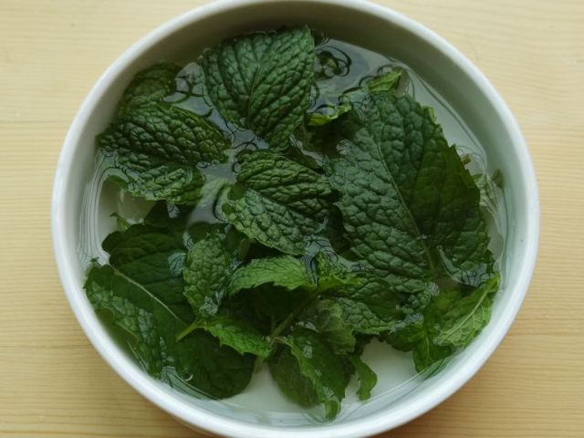 这种草能治多种疾病人人都吃得起,与大家分享一款具有药用价值的草