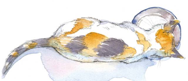 水彩绘画用的纸,水彩绘画用的画笔