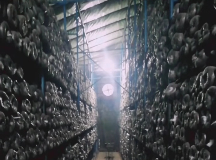 【原创】黑木耳代料栽培技术