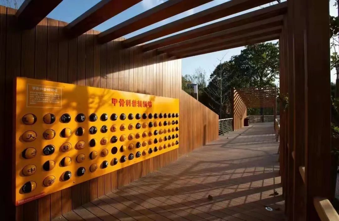 建业足球小镇怎么样了,郑州建业足球小镇恢复了么