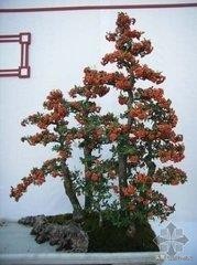 创业小项目获得资源,创业项目可以利用的资源