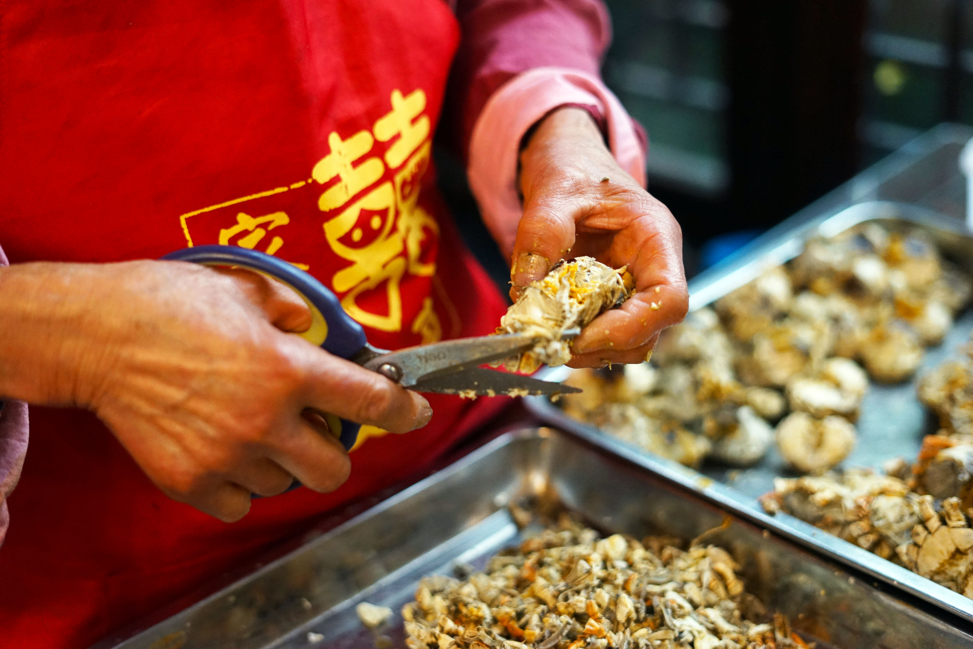 苏州是个温柔的地方,苏州人是个雅致的女人