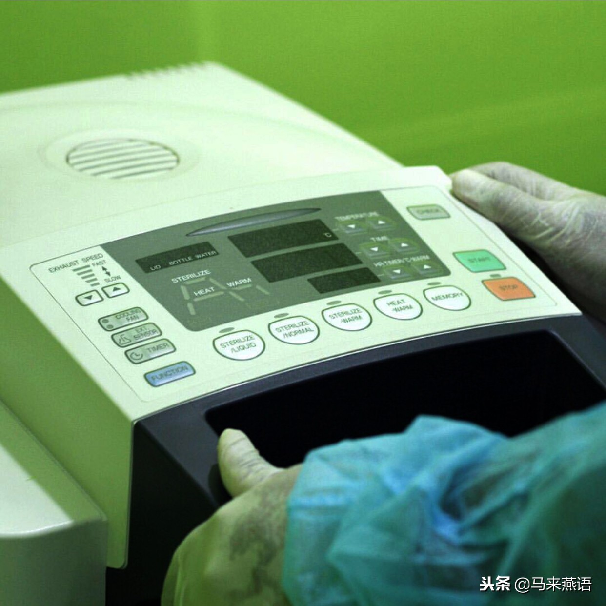 马来西亚燕窝哪种比较好,马来西亚的燕窝优缺点