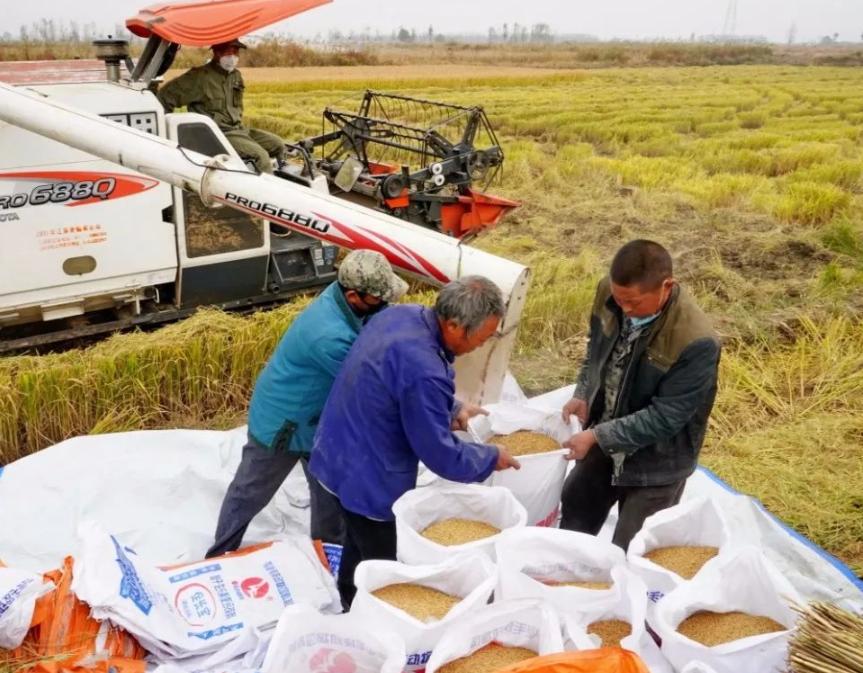 你眼中的农村是什么样的呢,对农民来说最重要的是什么