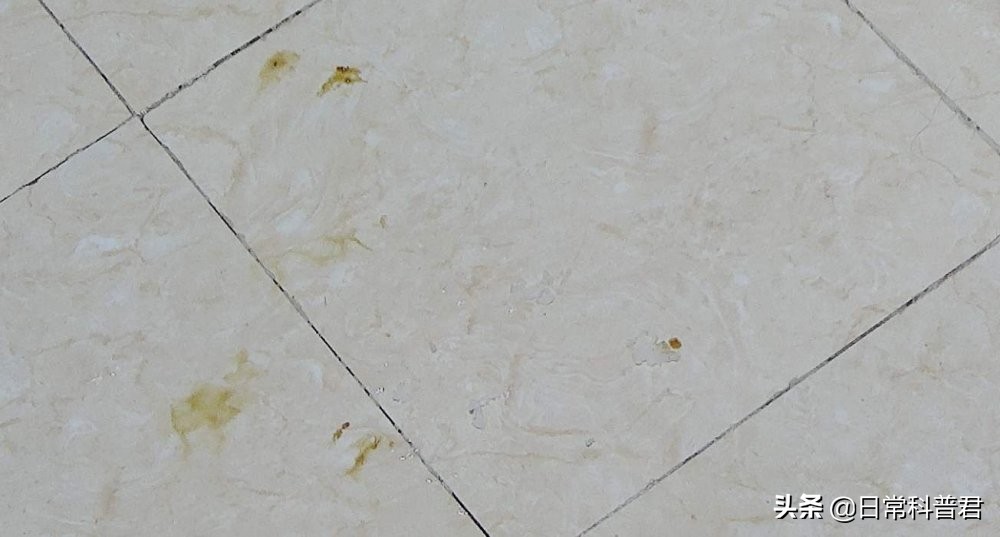 地板不耐脏一踩一个脚印怎么办,集装箱地板不耐脏有什么办法解决