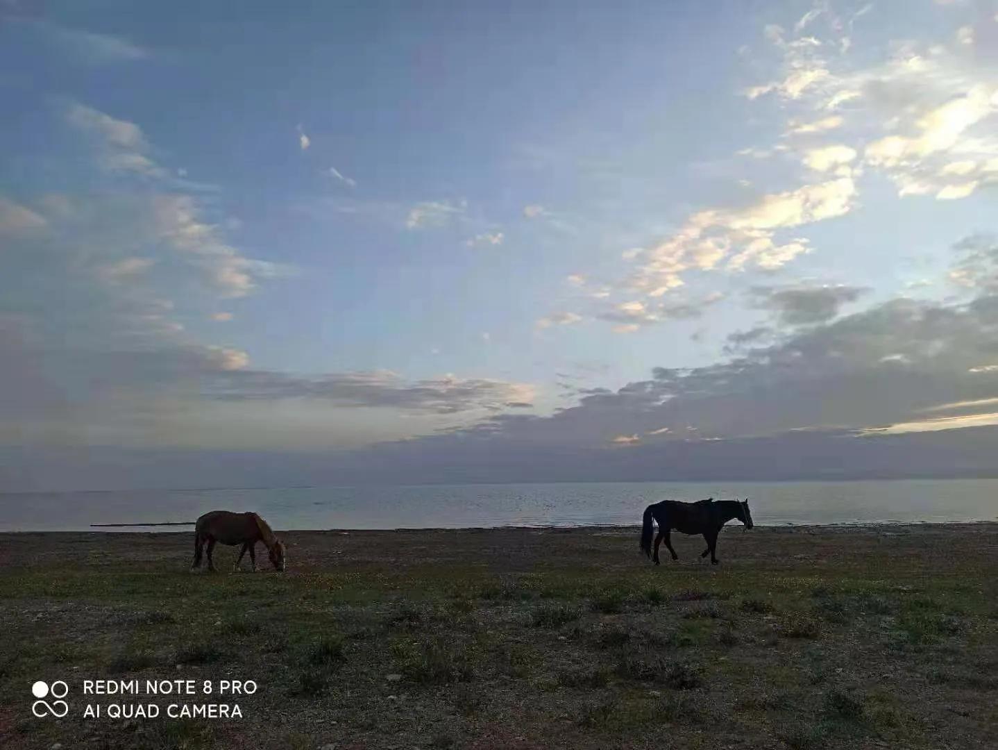 圣藏之旅第四日——思考蜕变之旅的真实意义