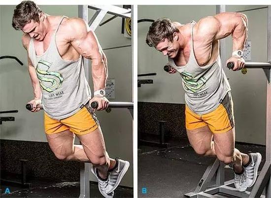 教你正确的锻炼方法,教你锻炼健身小窍门