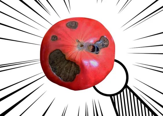 哆啦a梦的奇葩操作,盘点哆啦a梦的奇葩的道具