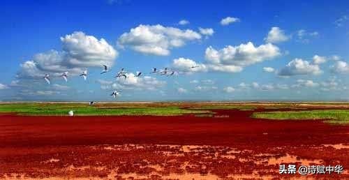 黄河赋古诗原文,辞赋垣城赋全文