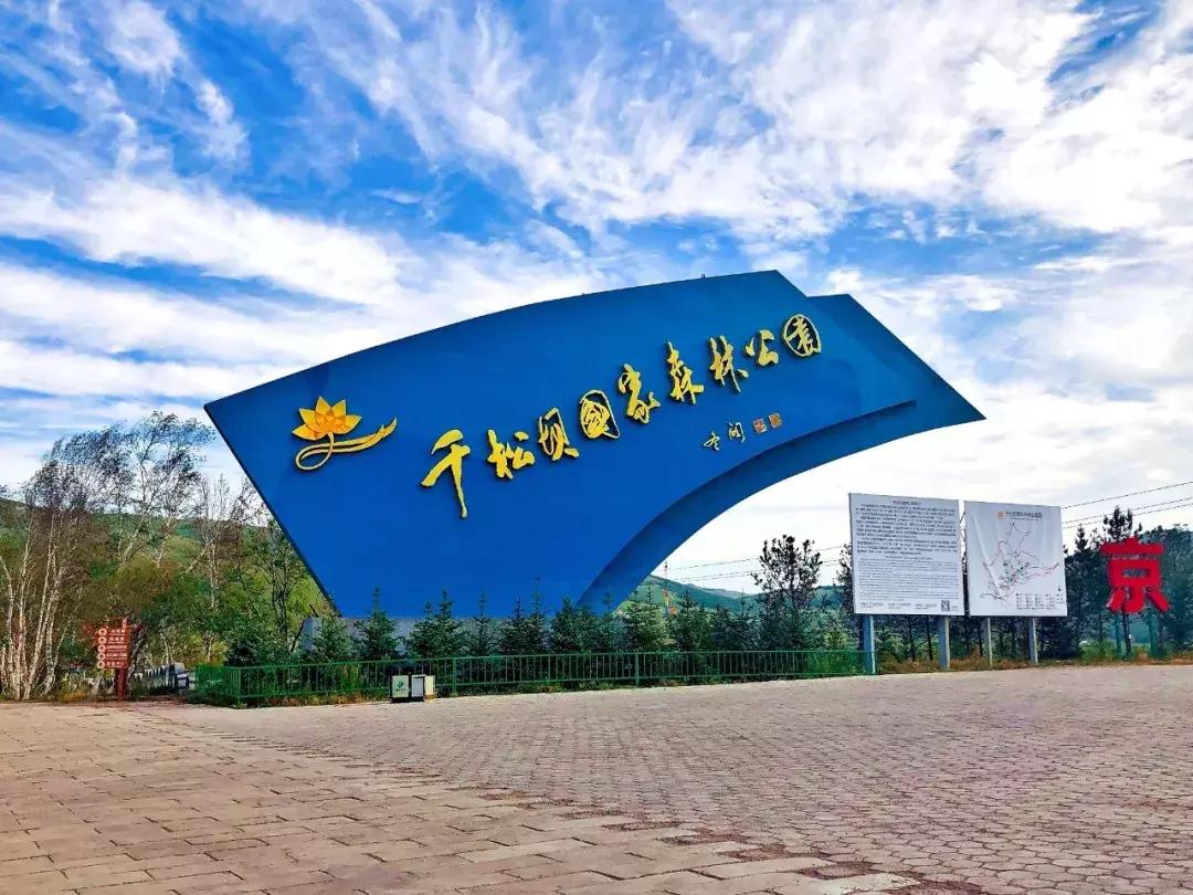 丰宁千松坝秋色,天凉好个秋拍摄