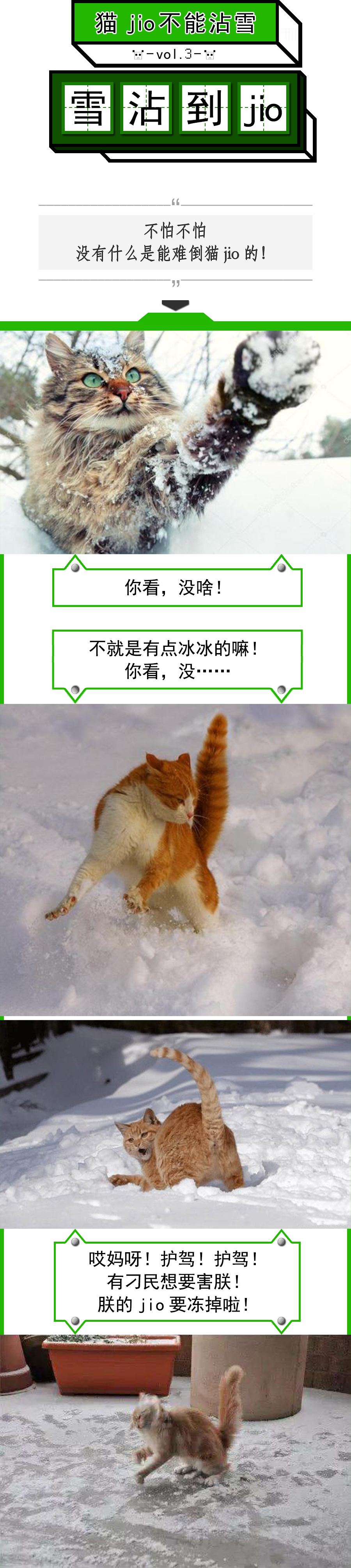 猫爪为什么那么有力,猫爪那么锋利猫舔手不会受伤吗