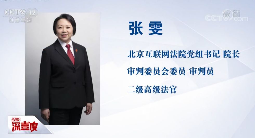 CCTV：互联网法院的互联网法治实践与电子证据IP360