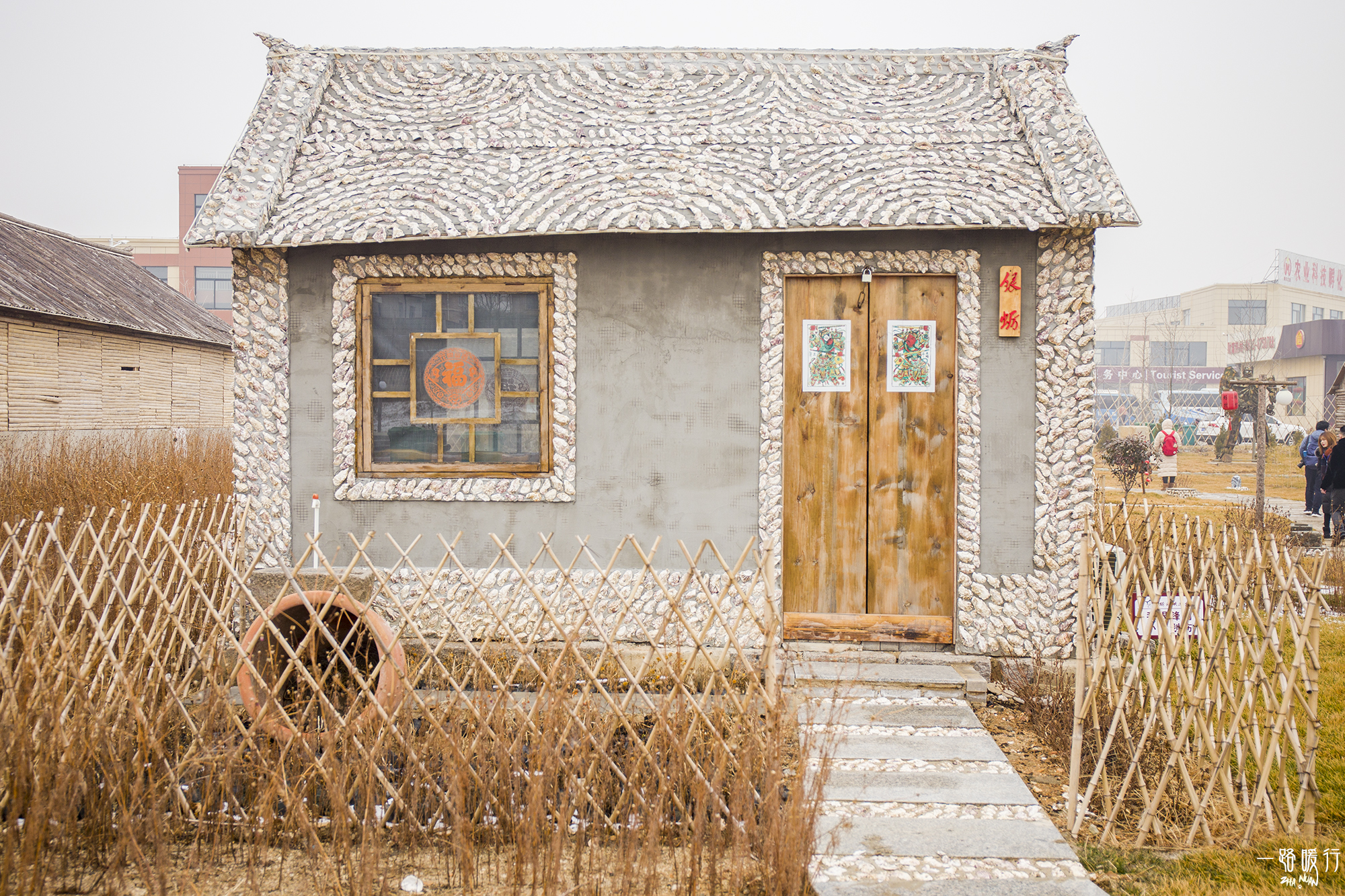 牡蛎生命意义,野生牡蛎的价值