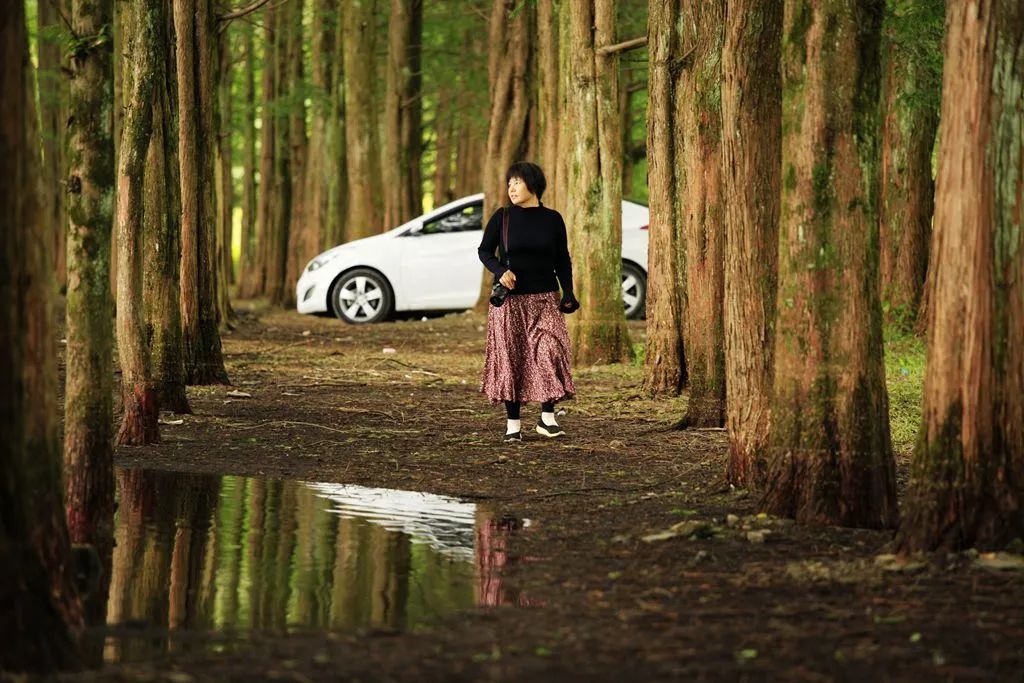 汉中龙池湖攻略,汉中龙池湖简介