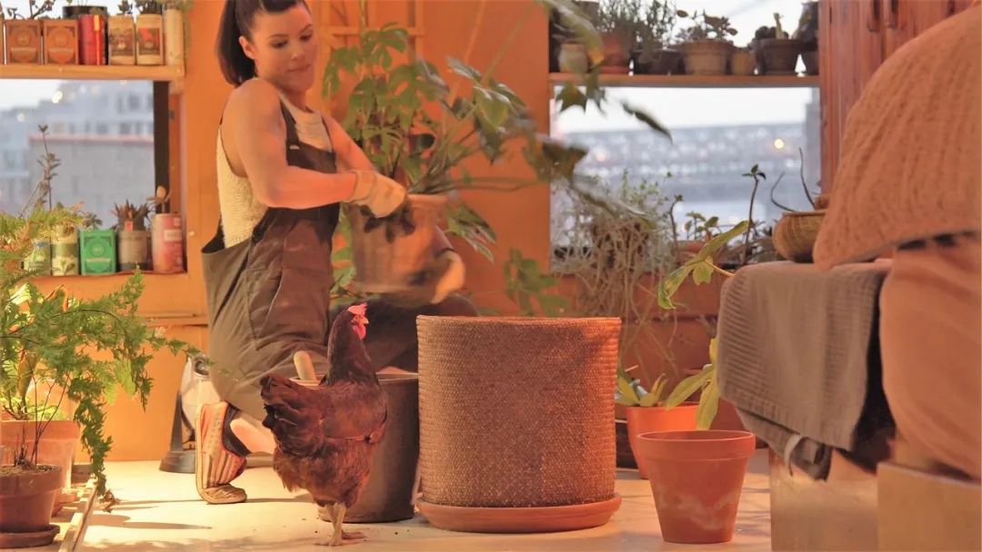 金盆洗手吧，植物杀手们