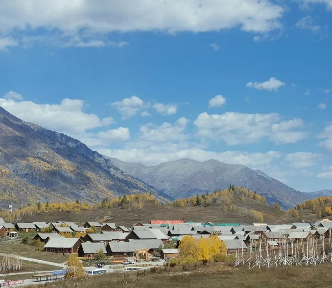 新疆伊力老窖怎么喝好喝,新疆伊力小老窖有几种