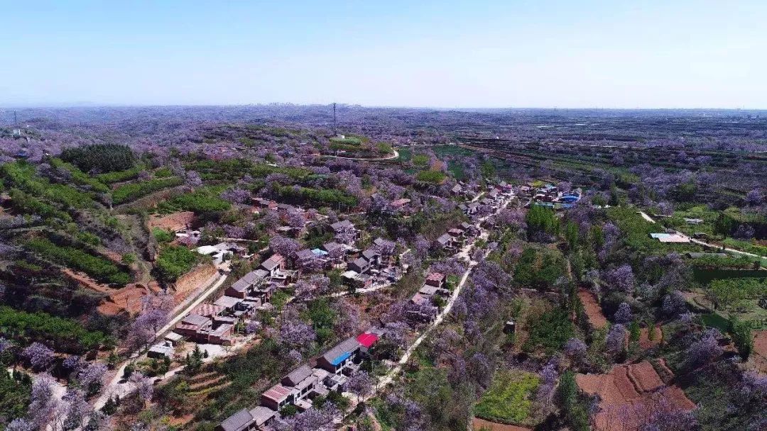 探秘黄河古渡口,探访古渡口