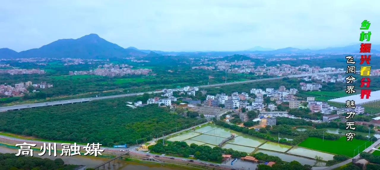 飞阅系列,飞阅新闻最新消息