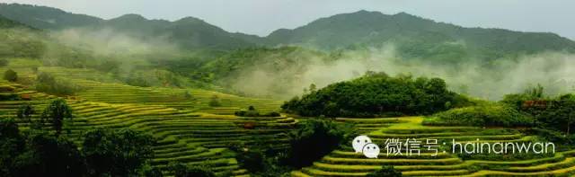 海南五指山牙胡梯田最佳观景台,牙胡梯田风景区游玩项目