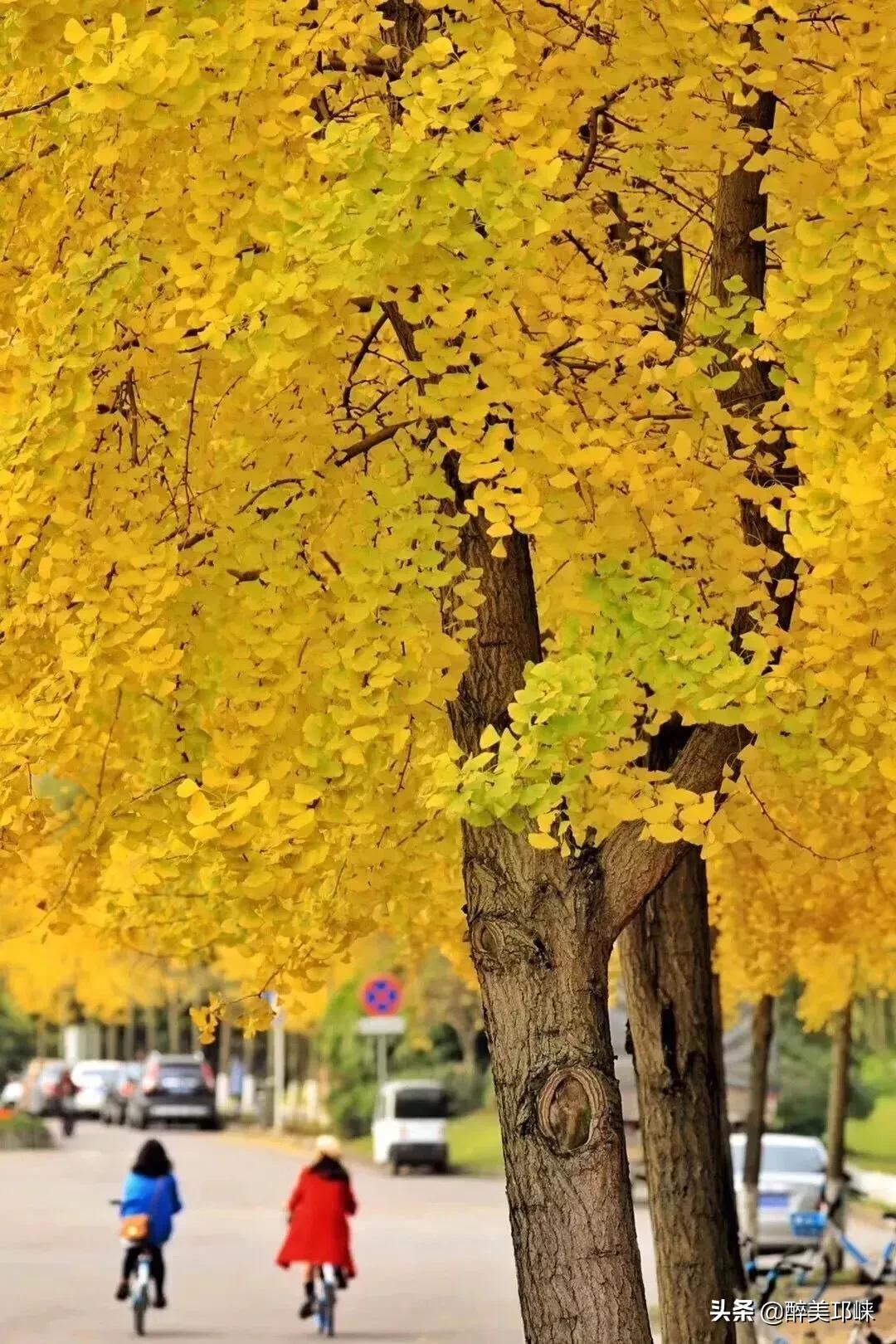 为什么有的人投资眼光很准,为什么越来越多的资本想投资酱酒
