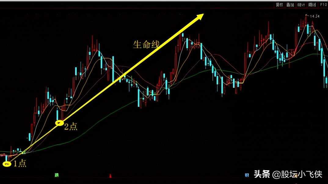 什么是生命线股票,股票生命线指标应用