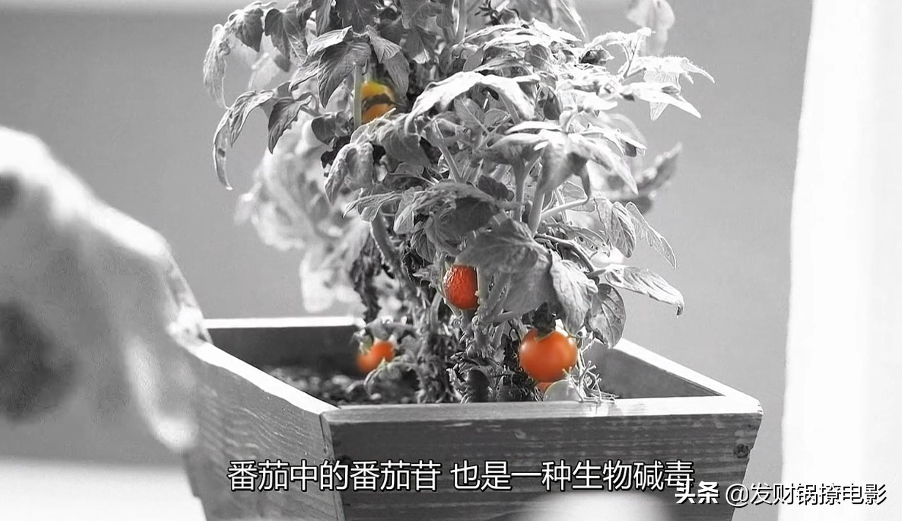 豆瓣9.4,一集一个案件!竟然被这部重口味日剧治愈了?