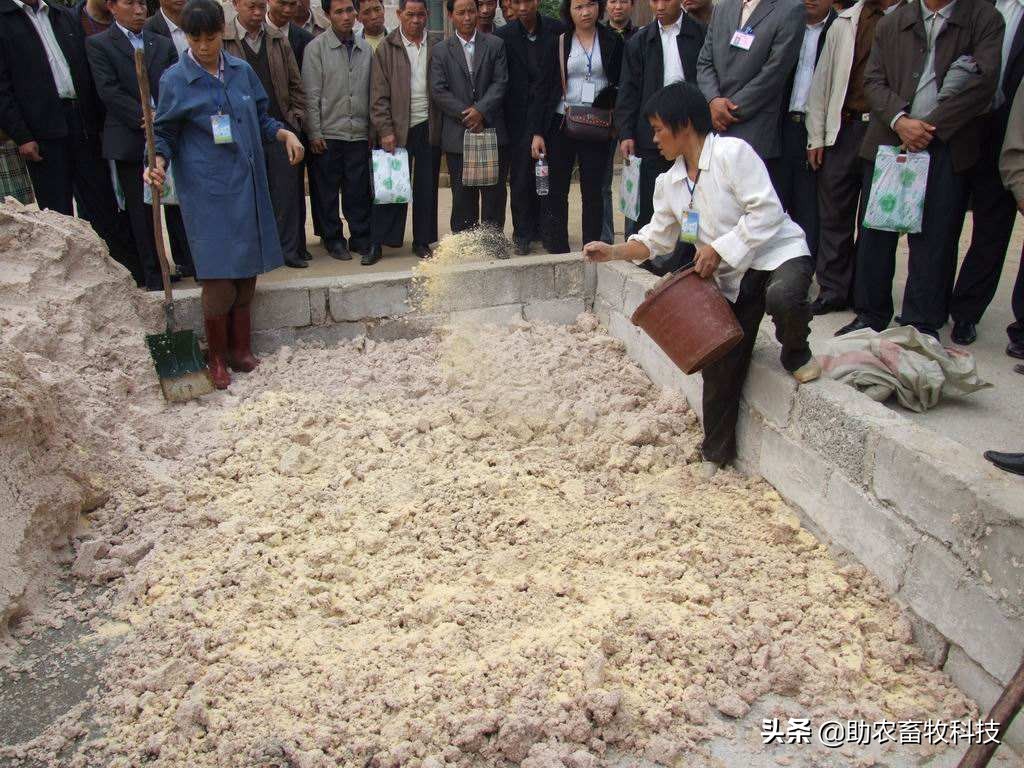发酵饲料和全价饲料的优势,发酵饲料氨基酸含量高吗