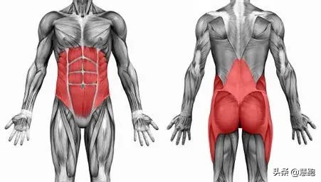 跑步跑前力量训练,跑者必练核心动作