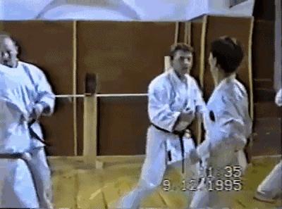 空手道基本功gif,空手道gif