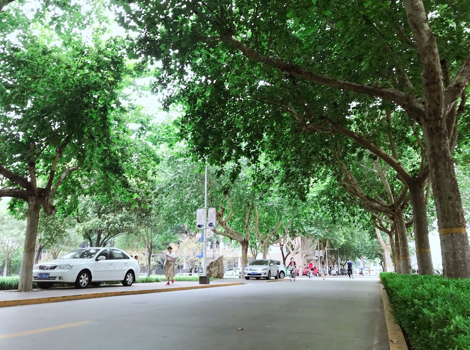 石家庄铁道大学巅峰时期,石家庄铁道大学九十年代